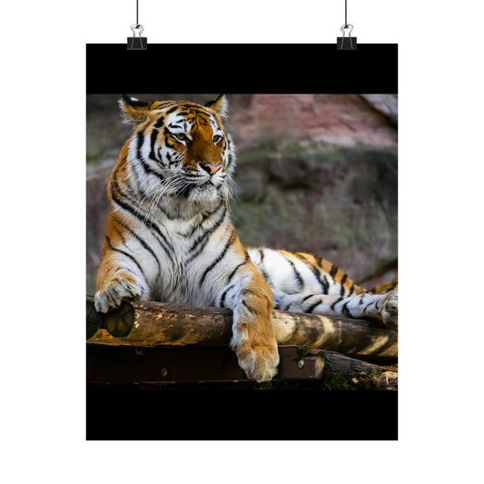 Majestic Tiger Matte Vertical Posters | Wall Art, Home Decor, Animal Print