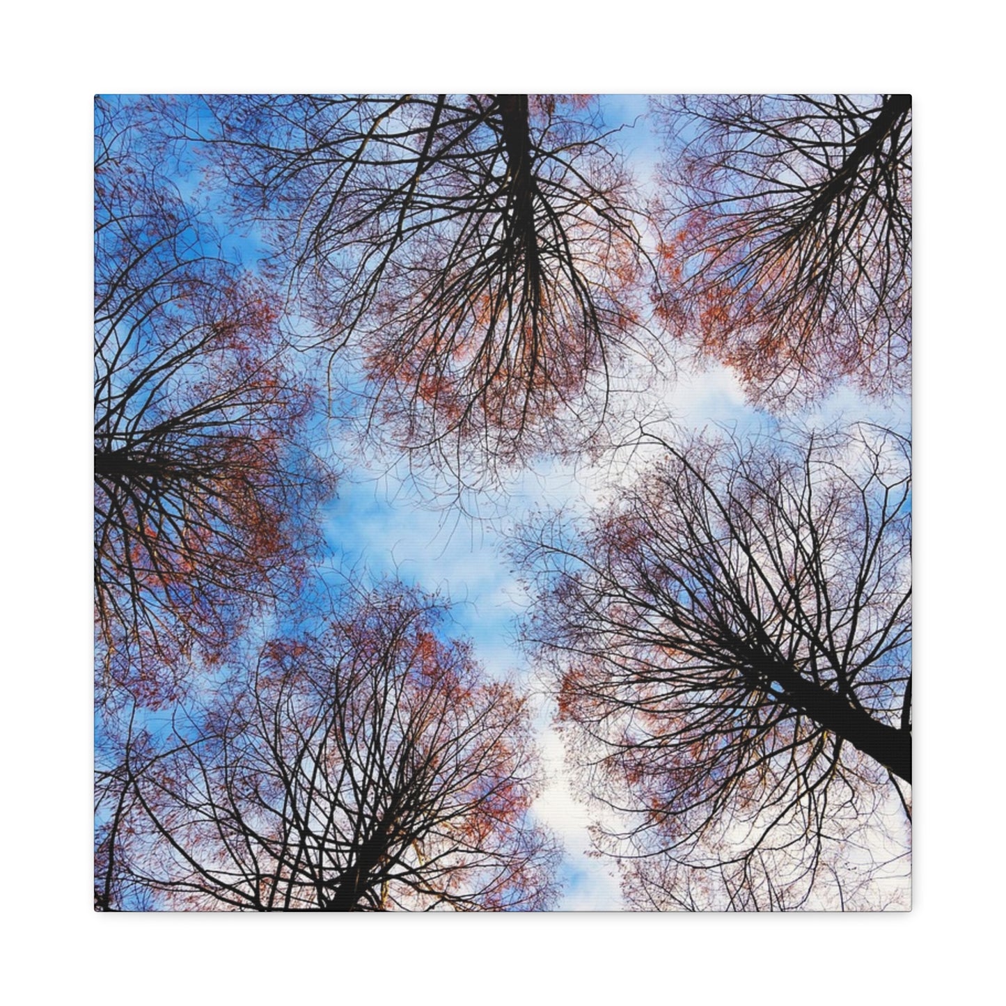 Winter Tree Canopy Matte Canvas Wall Art — Stretched 1.25"