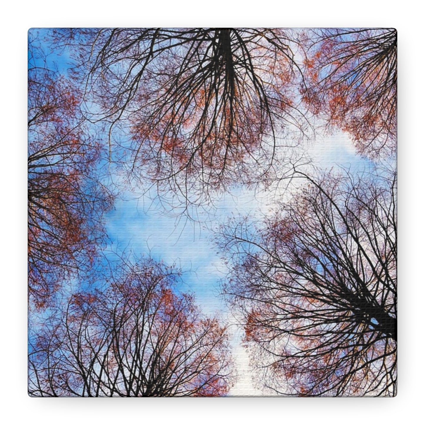 Winter Tree Canopy Matte Canvas Wall Art — Stretched 1.25"