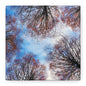 Winter Tree Canopy Matte Canvas Wall Art — Stretched 1.25"