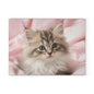Adorable Kitten Glass Cutting Board  Kitchen Decor