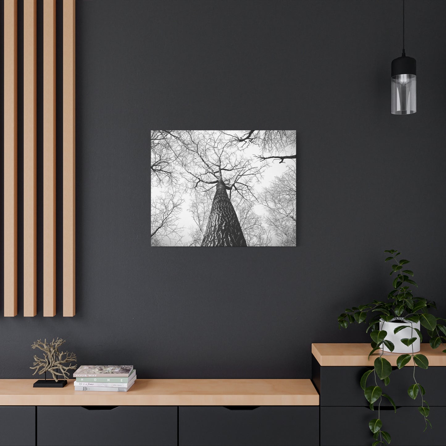 Black & White Tree Canopy Matte Canvas Wall Art — Upward Forest Photography