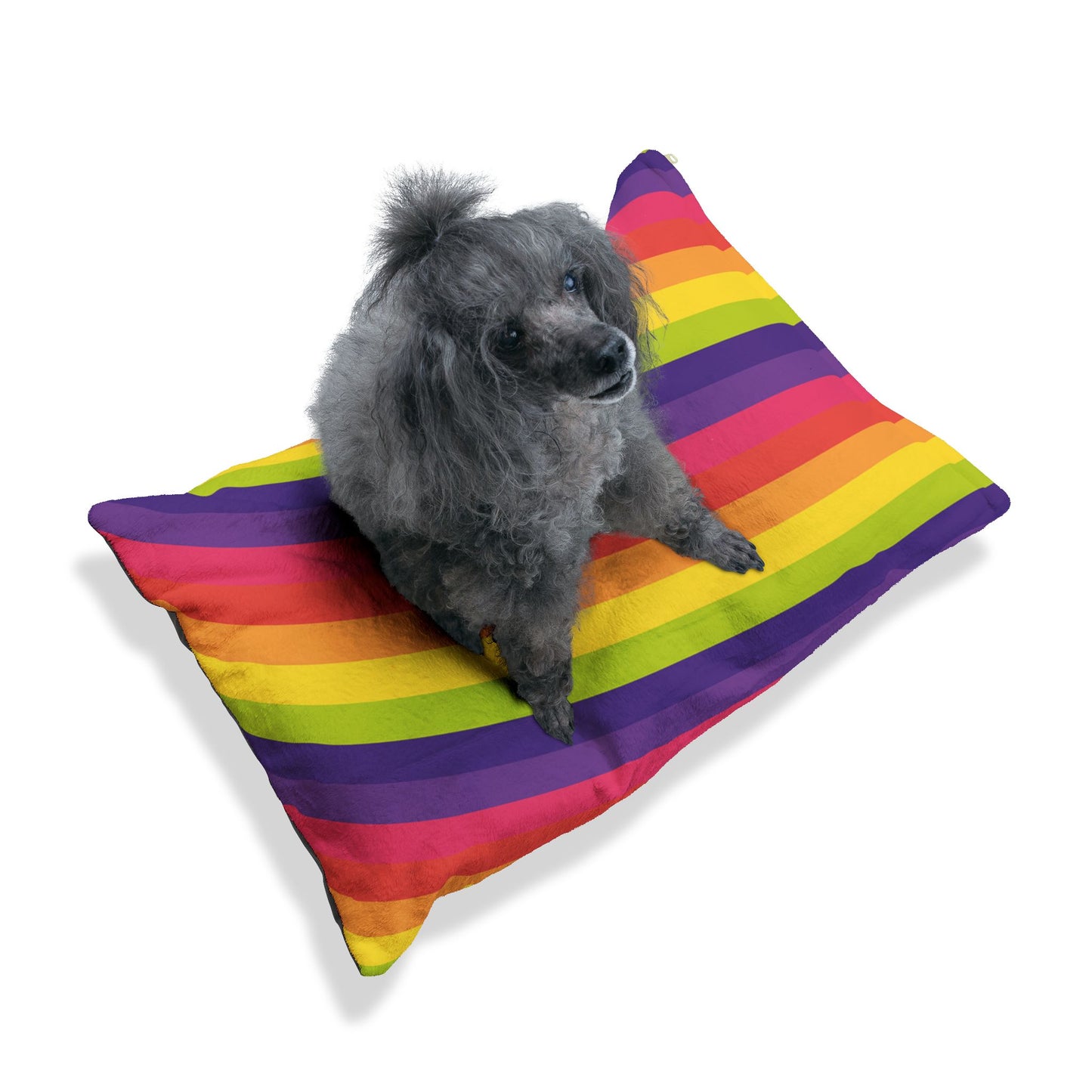 Cozy Rainbow Pet Bed, Cute Dog Bed, Colorful Cat Cushion, Soft Plush Pet Lounge, Unique Pet Gift for Holidays