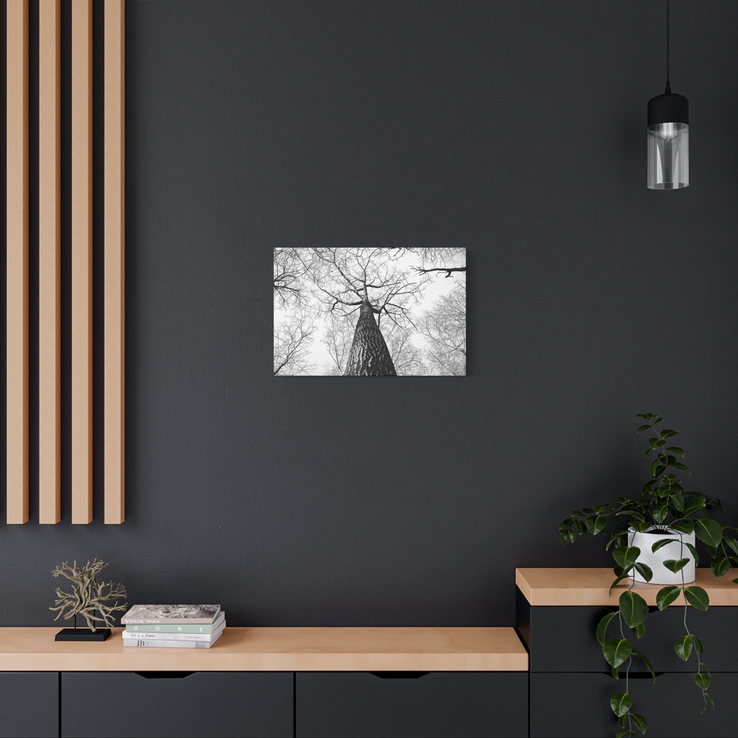Black & White Tree Canopy Matte Canvas Wall Art — Upward Forest Photography