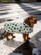 //img.ltwebstatic.com/v4/j/spmp/2026/01/21/6c/176893147184ddd3f2c327ada1174901ff5bff341d_thumbnail_900x.webp