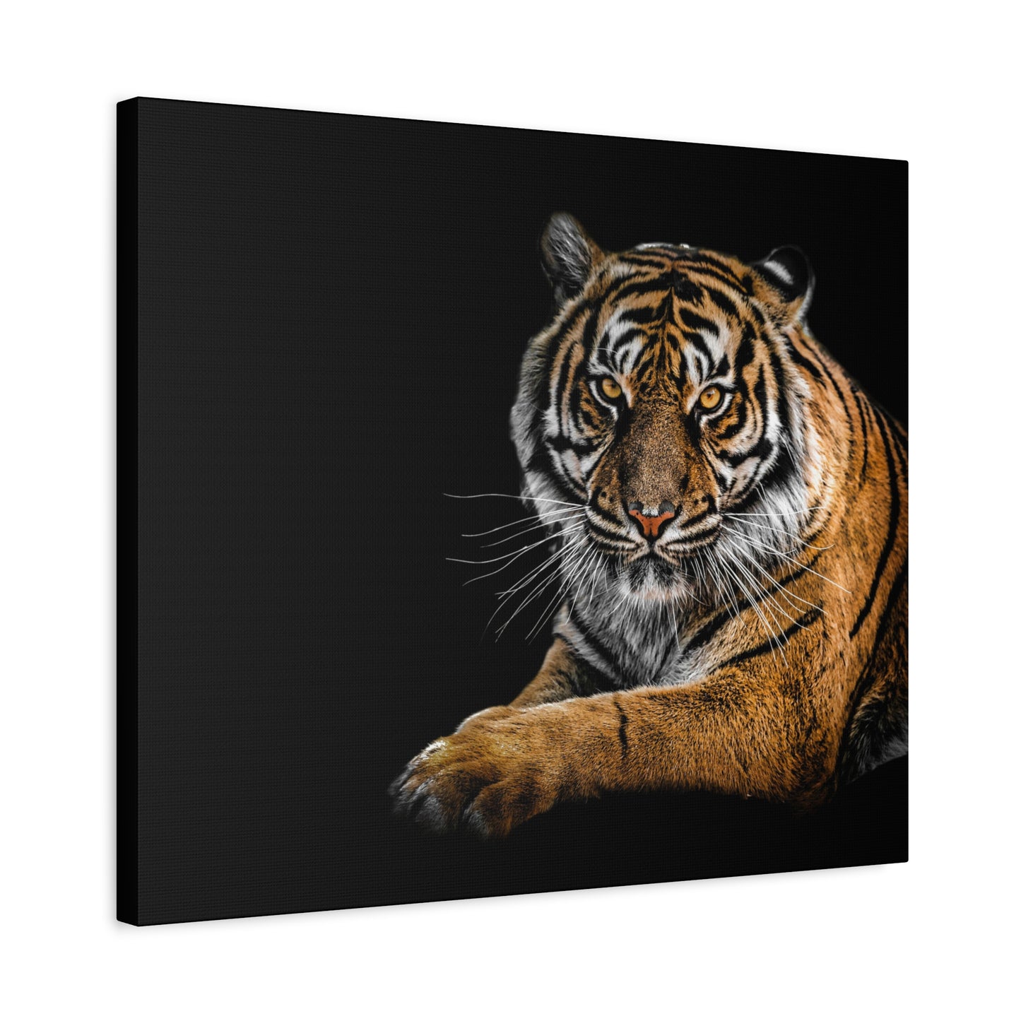 Majestic Tiger Canvas Art, Perfect for Animal Lovers, Home Decor, Gift for Wildlife Enthusiasts, Modern Wall Art, 1.25" Depth