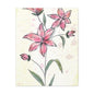 Matte Canvas, Stretched, 1.25" Tulips Pink Flowers