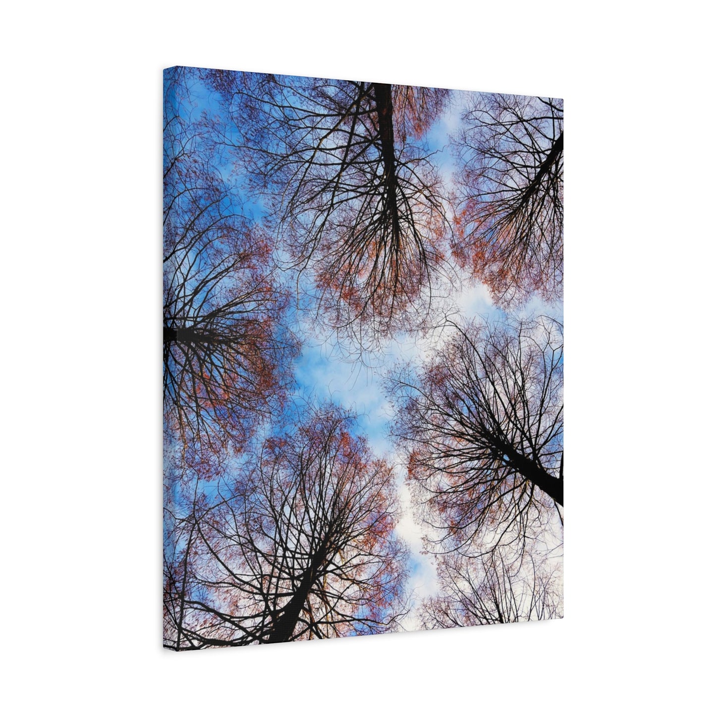 Winter Tree Canopy Matte Canvas Wall Art — Stretched 1.25"