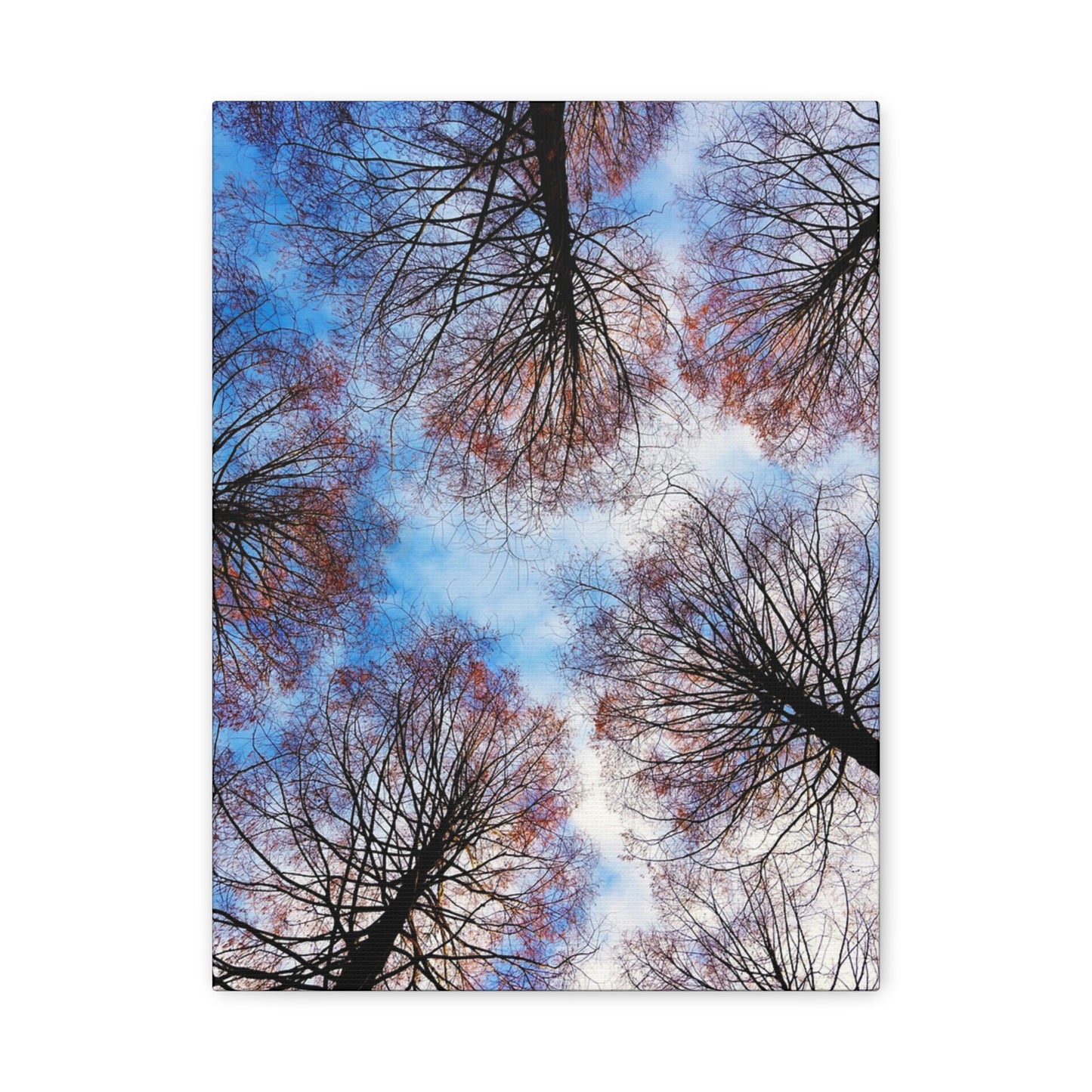 Winter Tree Canopy Matte Canvas Wall Art — Stretched 1.25"