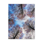 Winter Tree Canopy Matte Canvas Wall Art — Stretched 1.25"