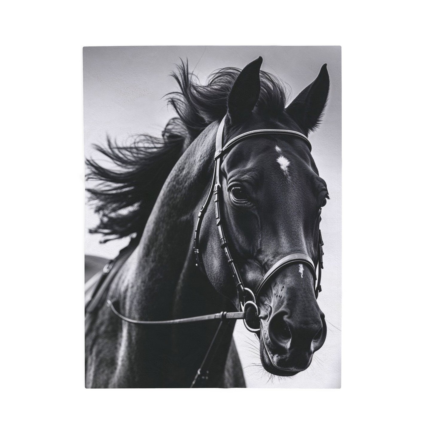 Black Stallion Velveteen Plush Blanket – Photoreal Horse Throw for Equestrian Fans