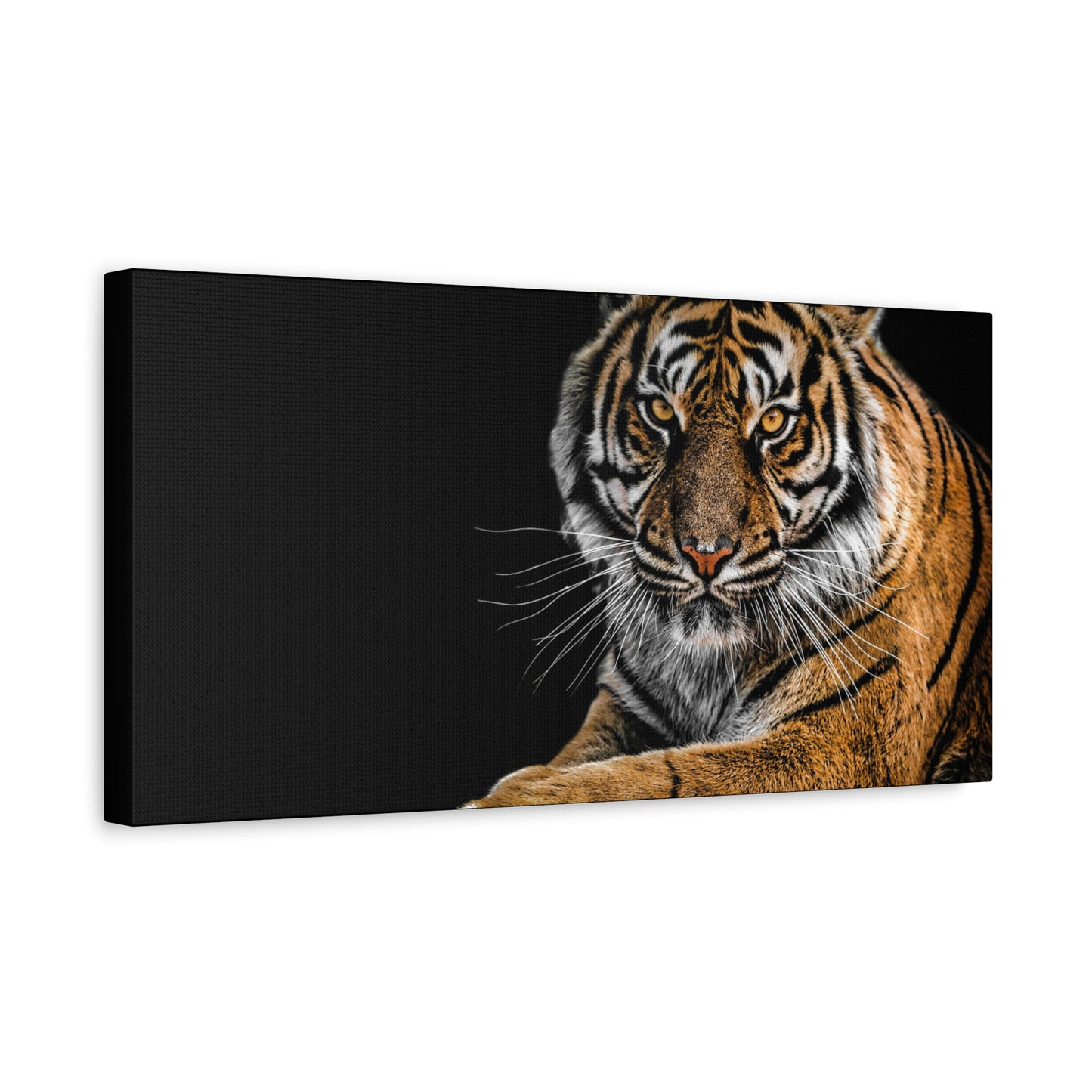 Majestic Tiger Canvas Art, Perfect for Animal Lovers, Home Decor, Gift for Wildlife Enthusiasts, Modern Wall Art, 1.25" Depth