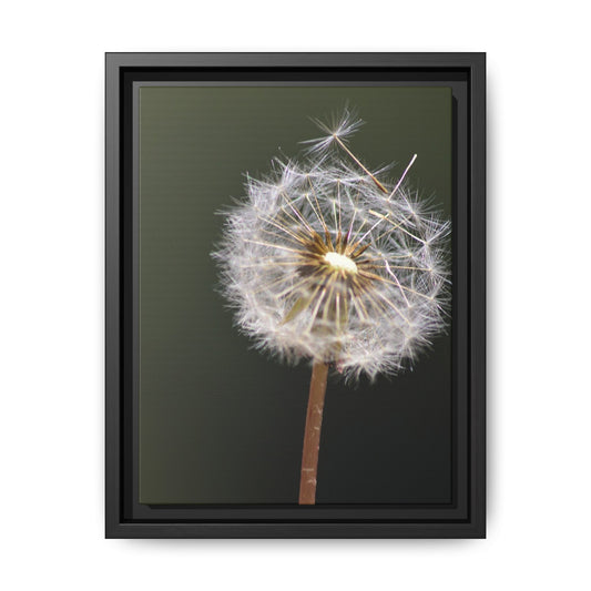 Framed Dandelion Canvas Print — Matte Botanical Wall Art