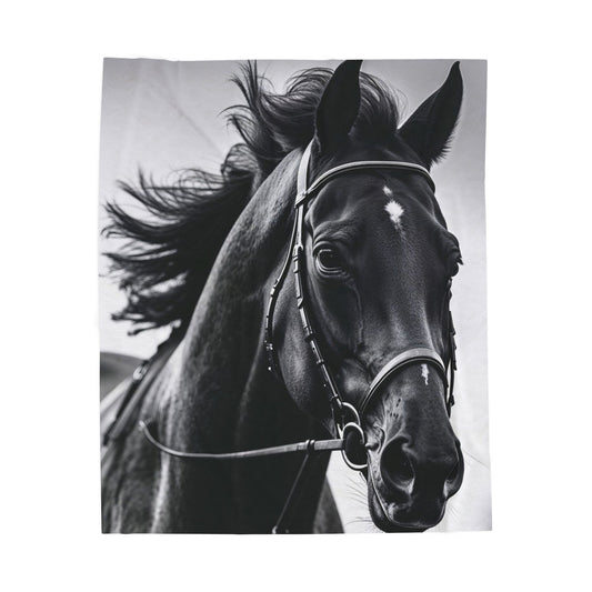 Black Stallion Velveteen Plush Blanket – Photoreal Horse Throw for Equestrian Fans