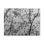 Canvas Wall Art — Monochrome Blurred Ferris Wheel with Tree Silhouettes