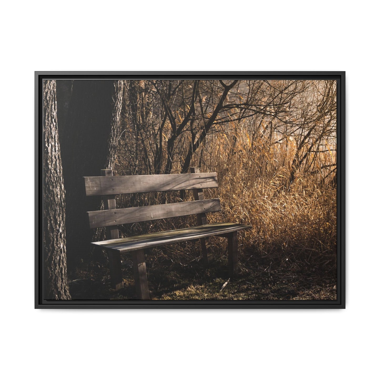 Framed Matte Canvas Print — Autumn Park Bench Photography