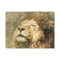 Lion Portrait Matte Canvas Print — Stretched 1.25" Wall Art