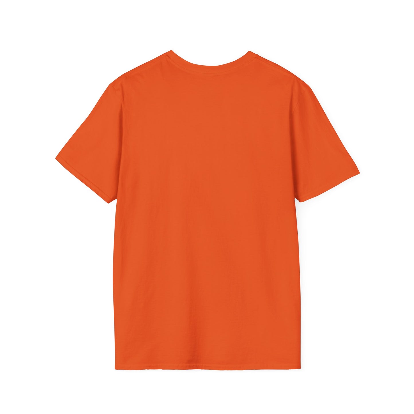 Cowgirl Summer Soft style T-Shirt for Horse Lovers