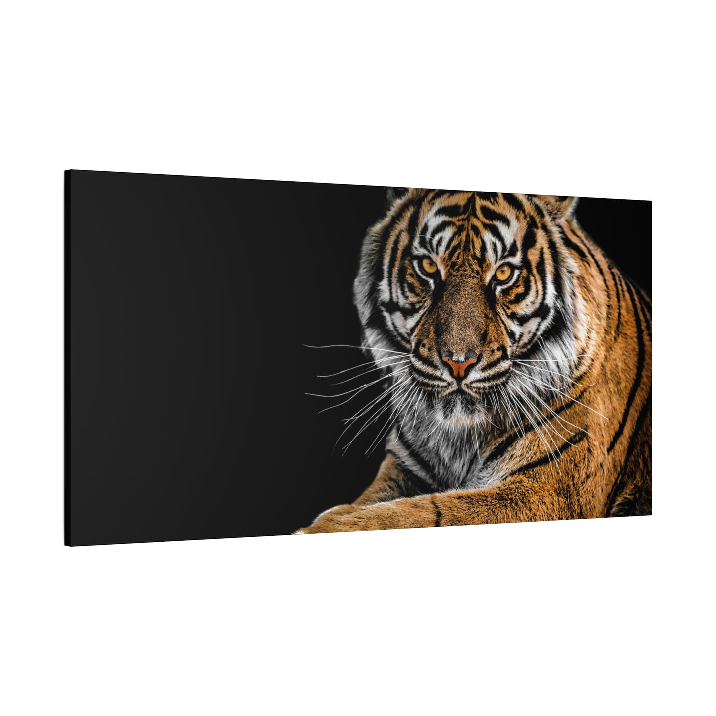Majestic Tiger Canvas Art, Perfect for Animal Lovers, Home Decor, Gift for Wildlife Enthusiasts, Modern Wall Art, 1.25" Depth