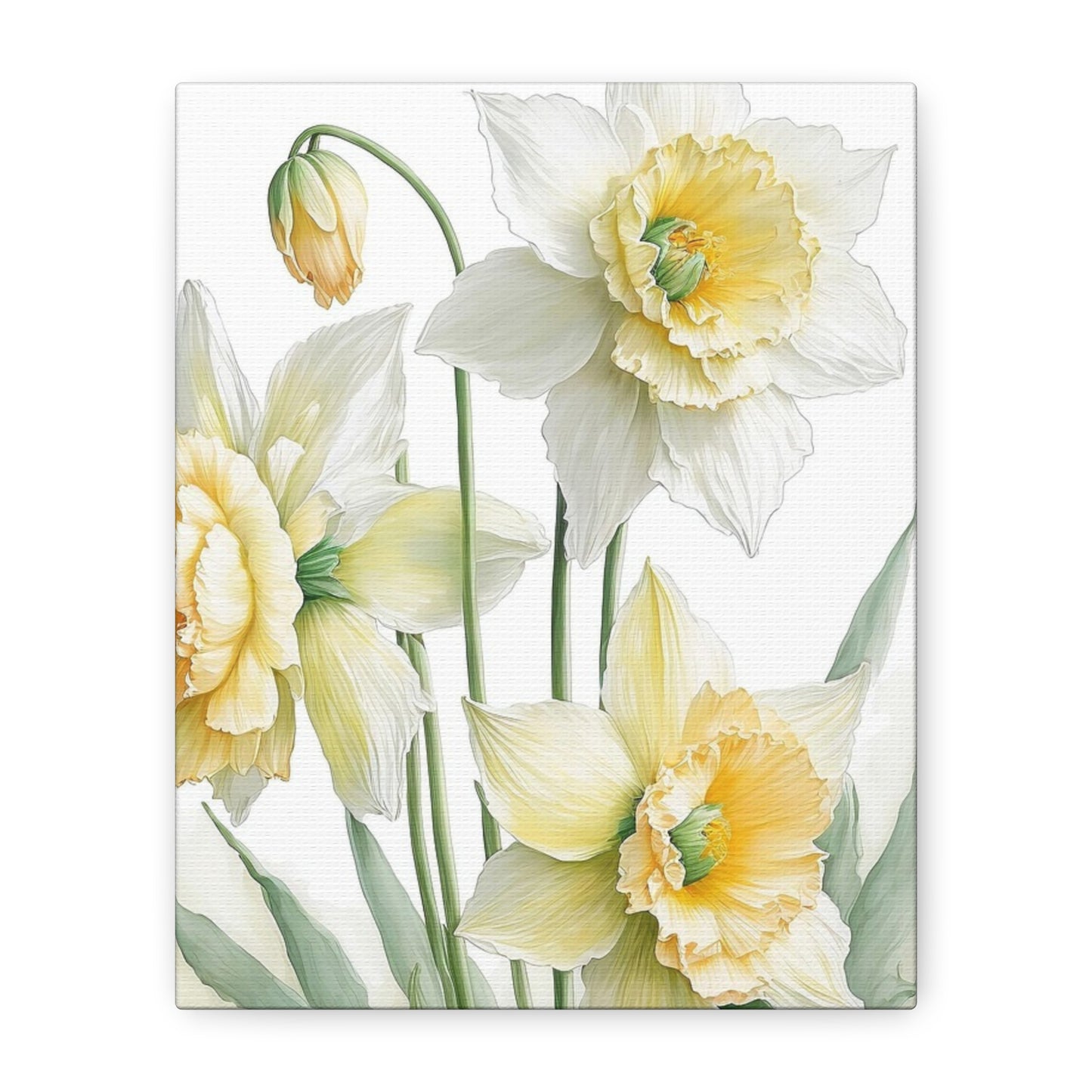 Matte Canvas, Stretched, 1.25" beautiful flowers white and yellow.