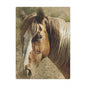 Rustic Horse Minky Blanket — Soft Western Horse Portrait Throw