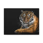Majestic Tiger Canvas Art, Perfect for Animal Lovers, Home Decor, Gift for Wildlife Enthusiasts, Modern Wall Art, 1.25" Depth