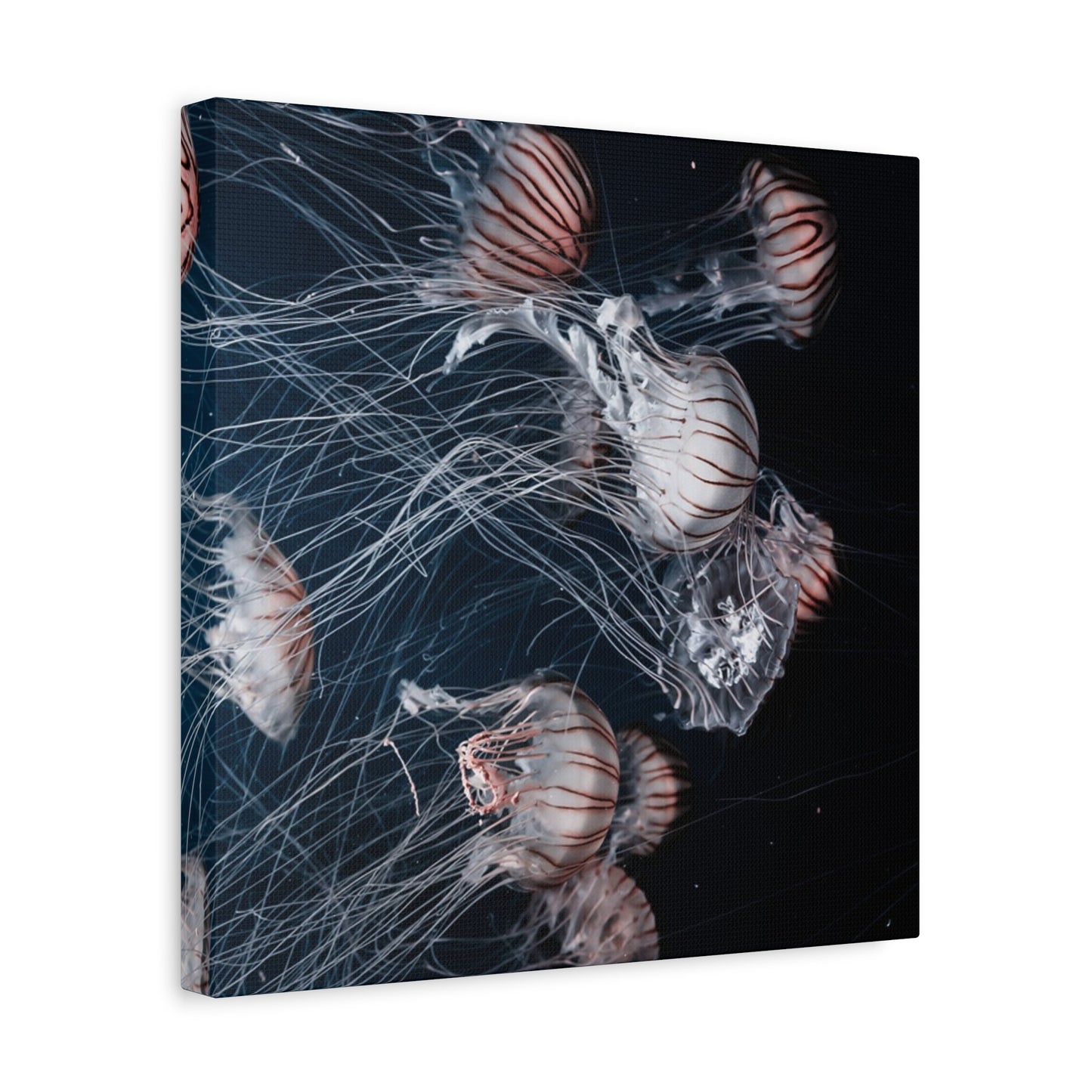 Jellyfish Swarm Matte Stretched Canvas