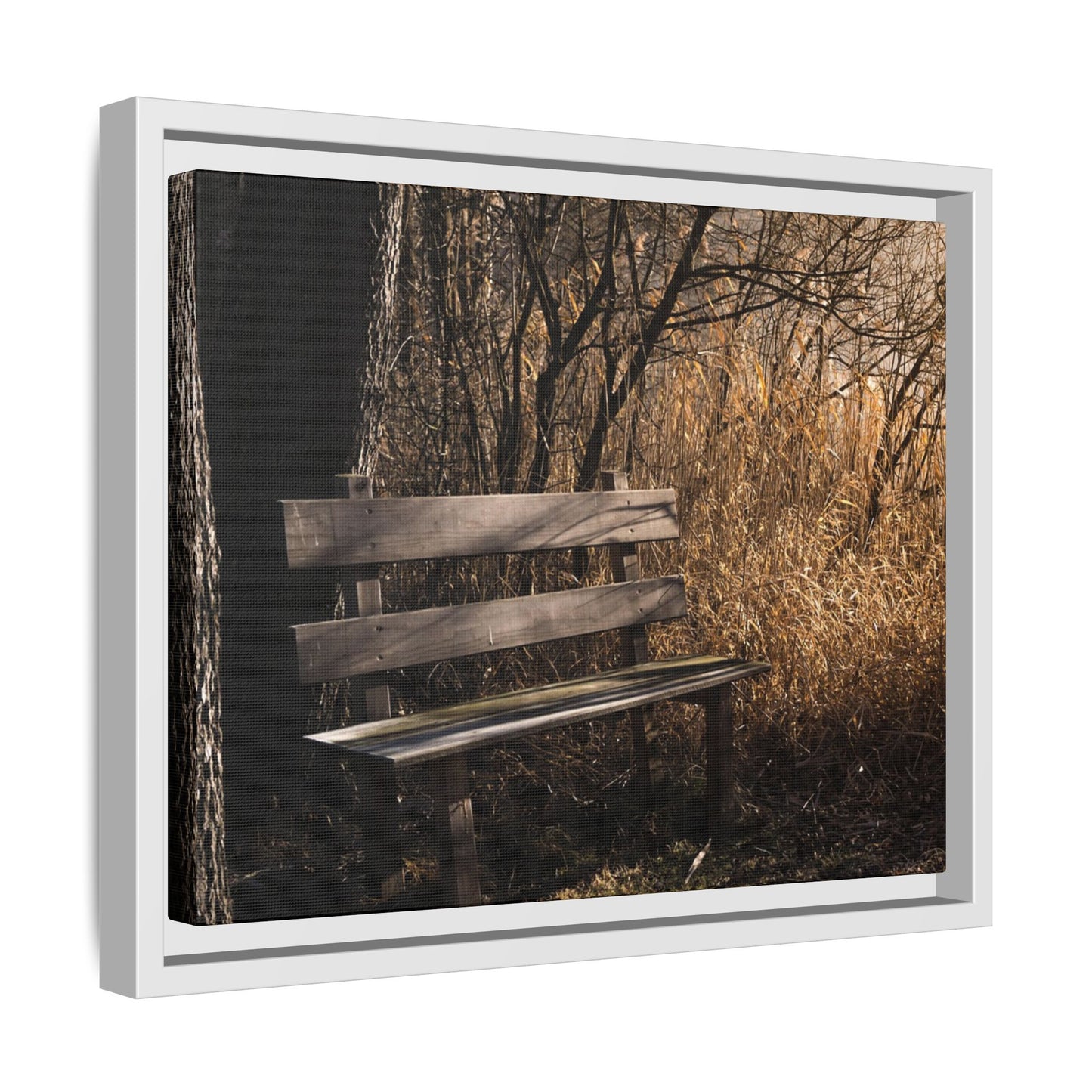 Framed Matte Canvas Print — Autumn Park Bench Photography