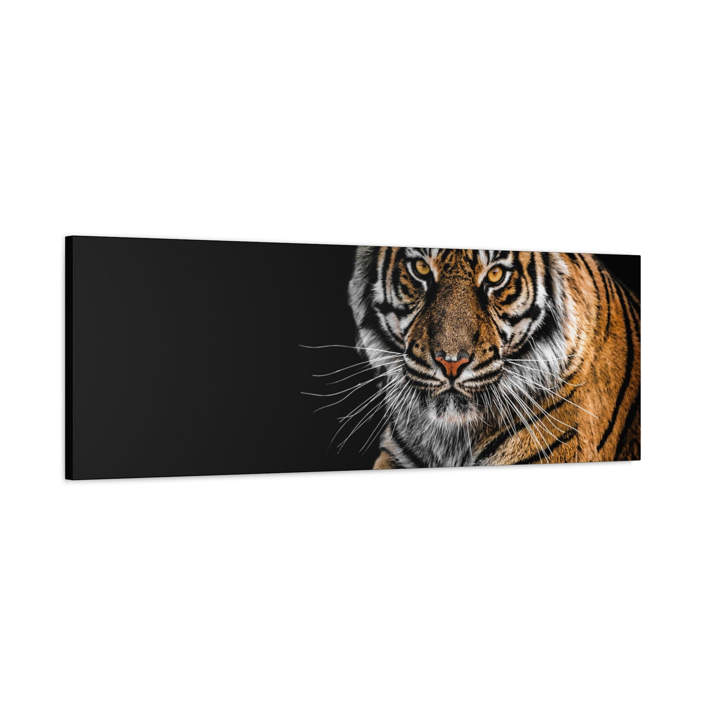 Majestic Tiger Canvas Art, Perfect for Animal Lovers, Home Decor, Gift for Wildlife Enthusiasts, Modern Wall Art, 1.25" Depth
