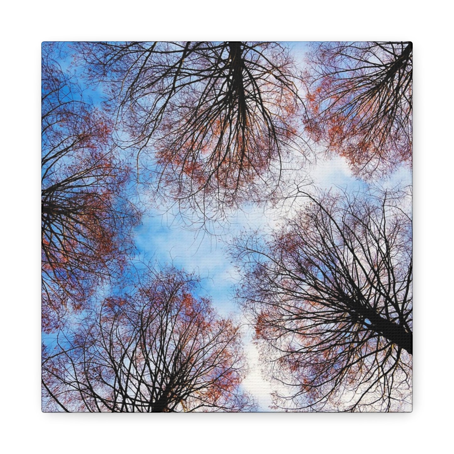 Winter Tree Canopy Matte Canvas Wall Art — Stretched 1.25"