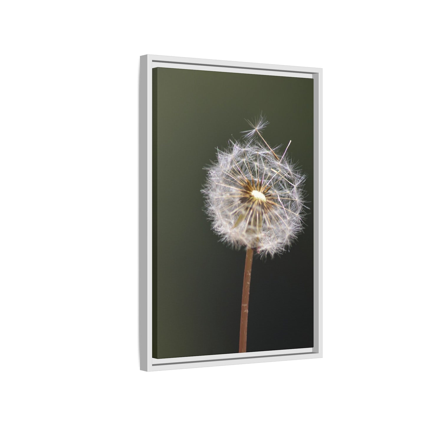 Framed Dandelion Canvas Print — Matte Botanical Wall Art