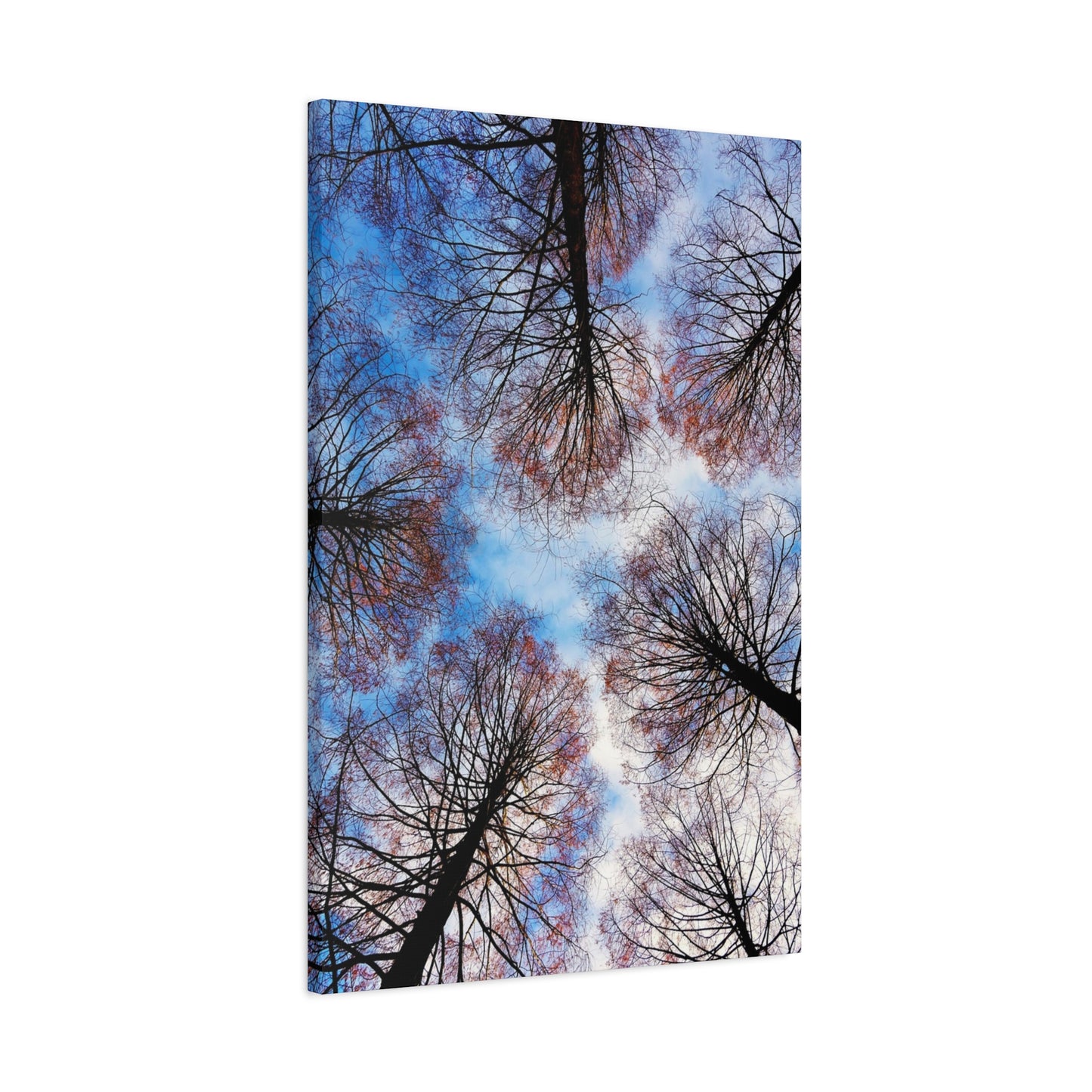 Winter Tree Canopy Matte Canvas Wall Art — Stretched 1.25"