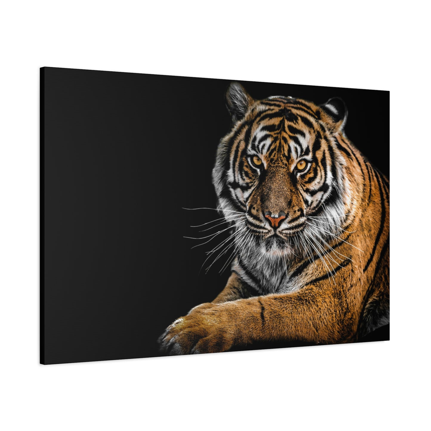 Majestic Tiger Canvas Art, Perfect for Animal Lovers, Home Decor, Gift for Wildlife Enthusiasts, Modern Wall Art, 1.25" Depth
