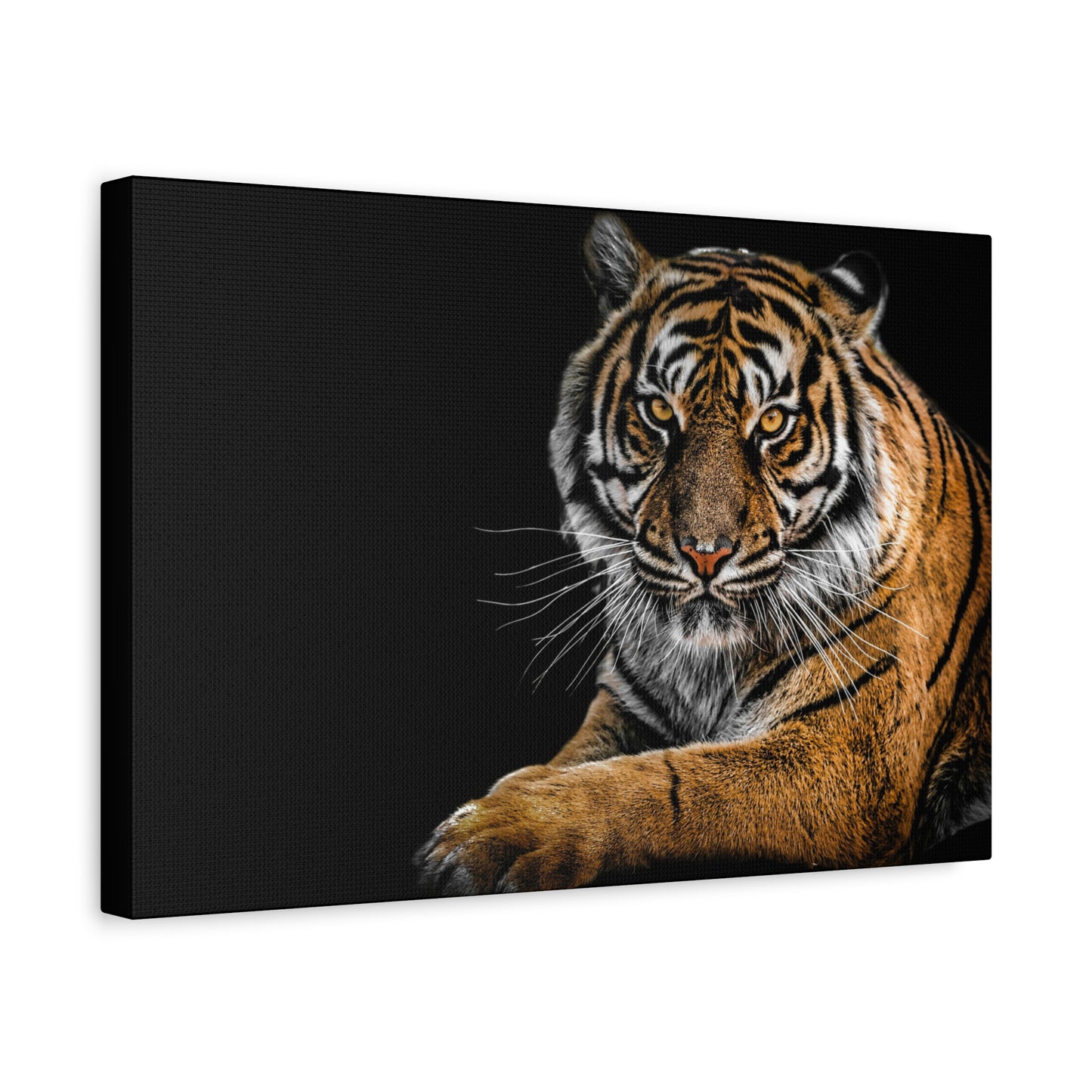Majestic Tiger Canvas Art, Perfect for Animal Lovers, Home Decor, Gift for Wildlife Enthusiasts, Modern Wall Art, 1.25" Depth