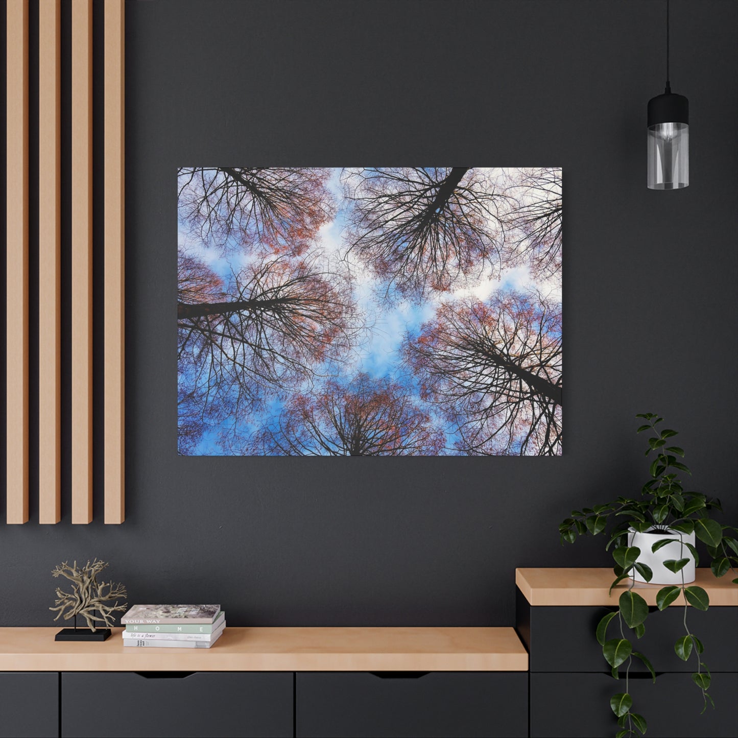 Canopy Sky Canvas Print — Winter Tree Tops Wall Art