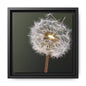 Framed Dandelion Canvas Print — Matte Botanical Wall Art