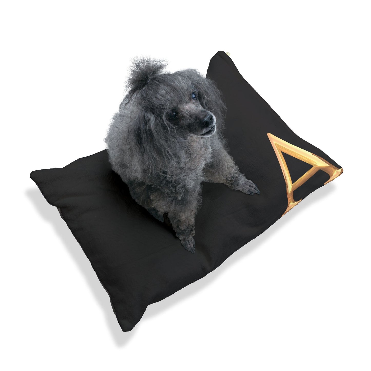 Personalized Pet Bed with Initial - Letter A  Custom Dog Bed, Cozy Cat Bed, Unique Pet Gift, Monogrammed Pet Pillow