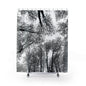 Monochrome Bare Trees Shower Curtain — Black & White Forest Canopy Bathroom Decor