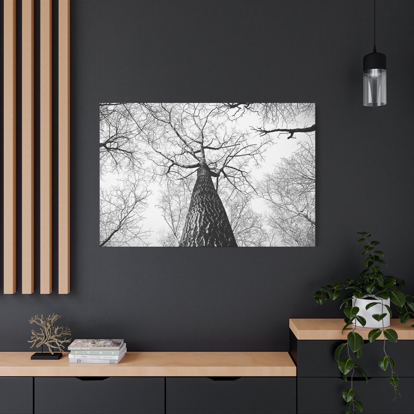 Black & White Tree Canopy Matte Canvas Wall Art — Upward Forest Photography