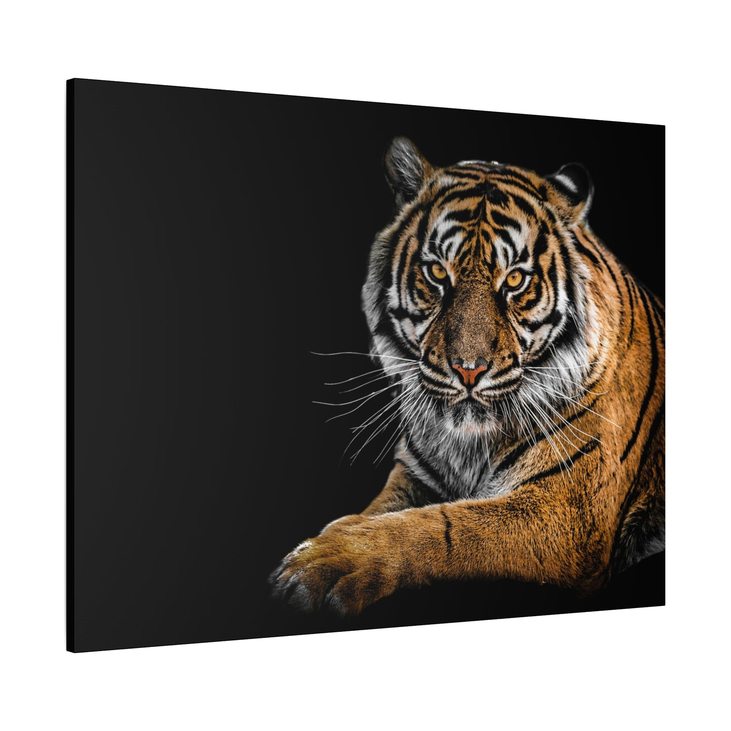 Majestic Tiger Canvas Art, Perfect for Animal Lovers, Home Decor, Gift for Wildlife Enthusiasts, Modern Wall Art, 1.25" Depth
