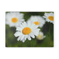 Charming Floral Glass Cutting Board - Kitchen Decor, Gift for Her, Daisy Design, Housewarming, Mother's Day