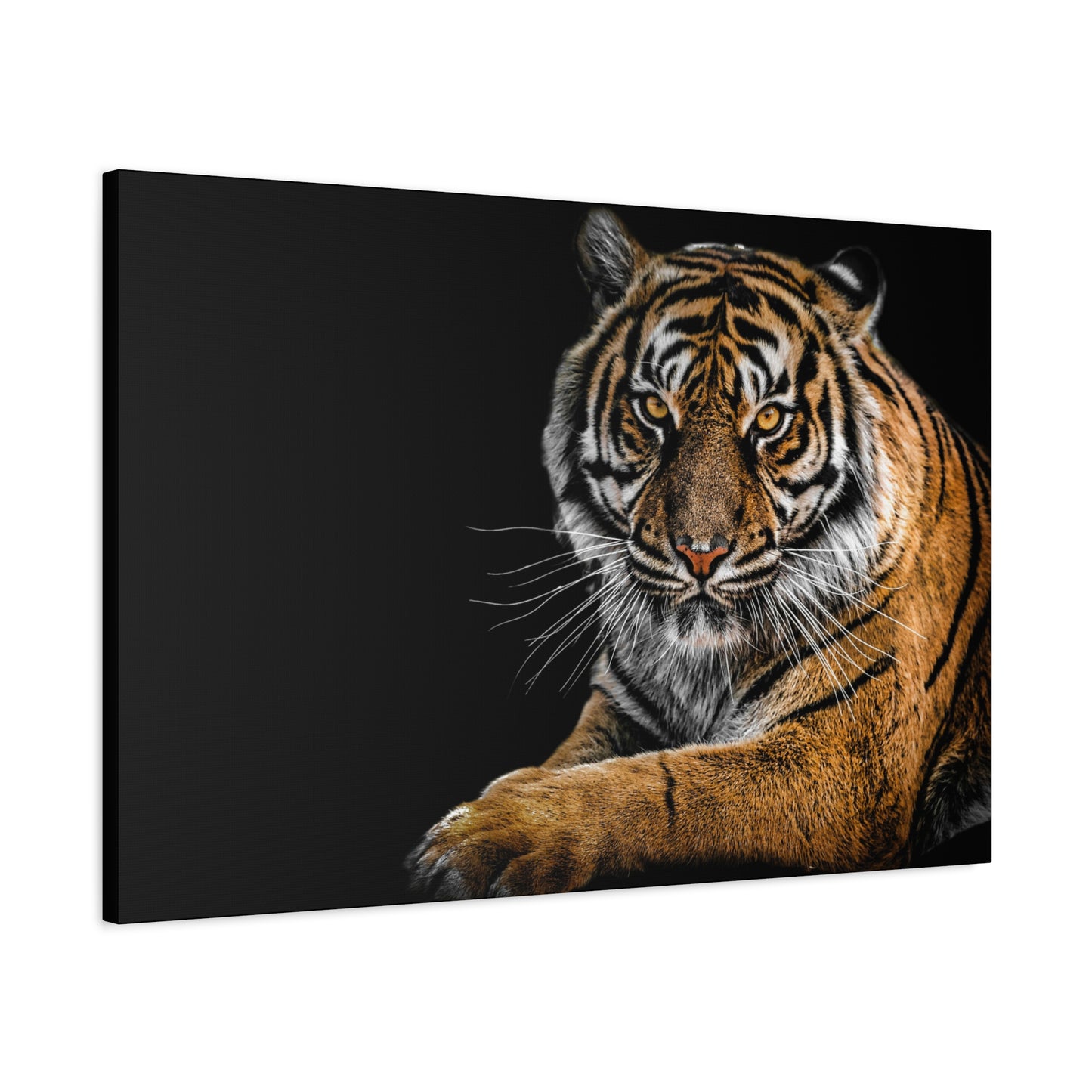 Majestic Tiger Canvas Art, Perfect for Animal Lovers, Home Decor, Gift for Wildlife Enthusiasts, Modern Wall Art, 1.25" Depth