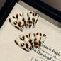 365nails: "Wild Couture" – 3D Metallic Stripe Leopard Handmade Stiletto Nails