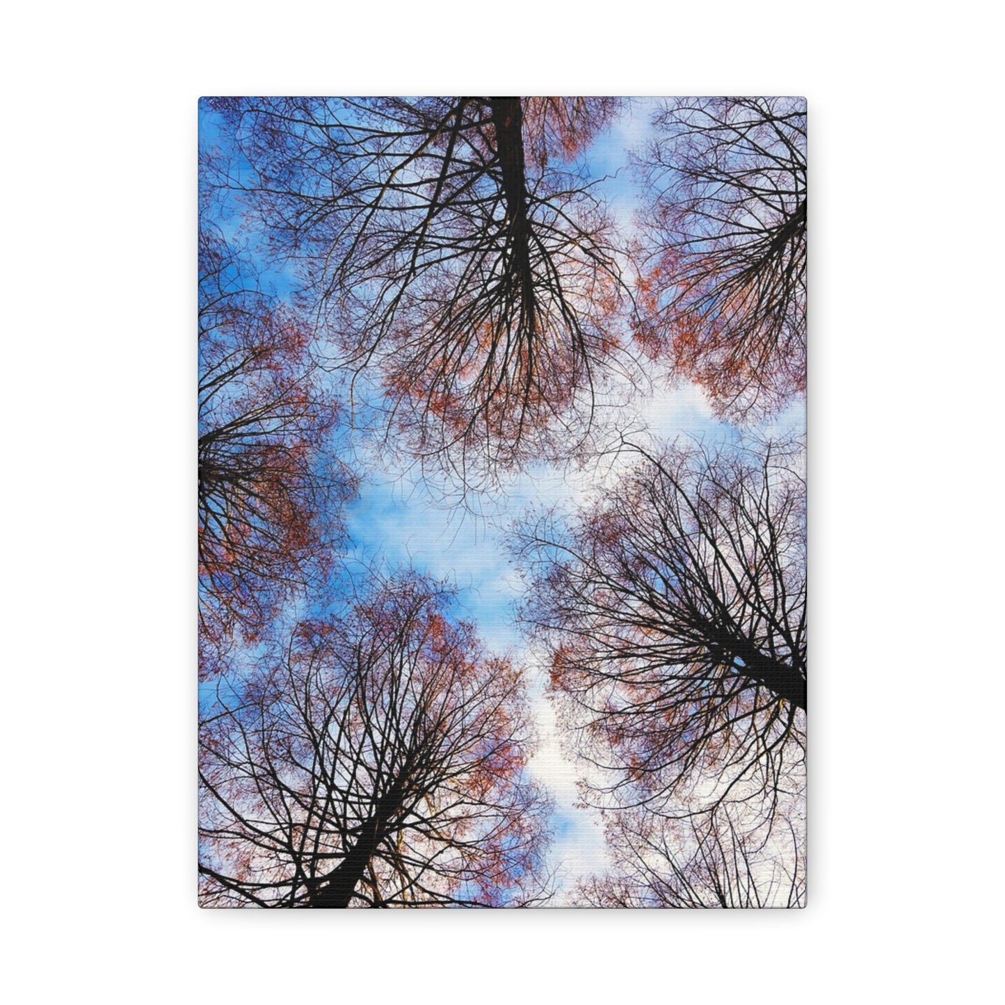 Winter Tree Canopy Matte Canvas Wall Art — Stretched 1.25"