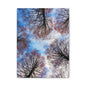 Winter Tree Canopy Matte Canvas Wall Art — Stretched 1.25"