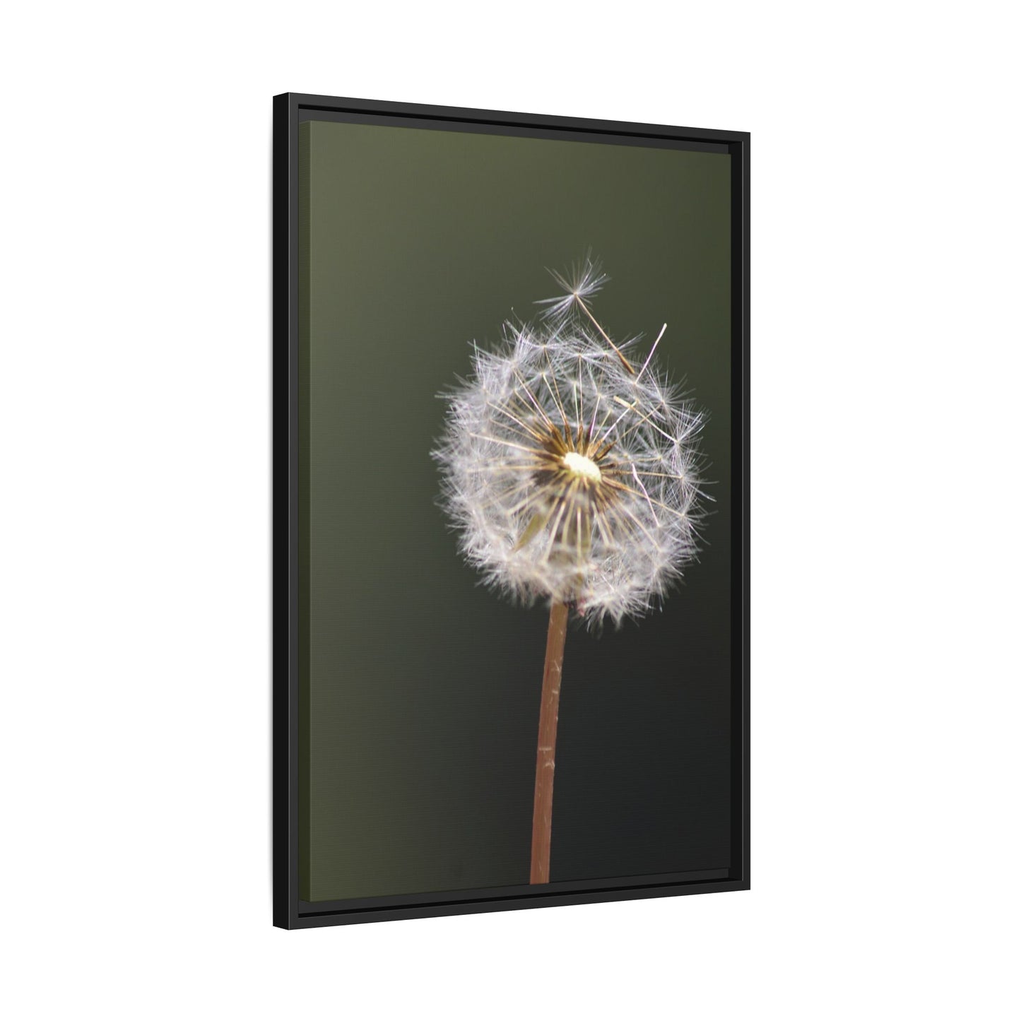 Framed Dandelion Canvas Print — Matte Botanical Wall Art