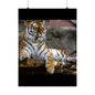 Majestic Tiger Matte Vertical Posters | Wall Art, Home Decor, Animal Print