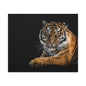 Majestic Tiger Canvas Art, Perfect for Animal Lovers, Home Decor, Gift for Wildlife Enthusiasts, Modern Wall Art, 1.25" Depth