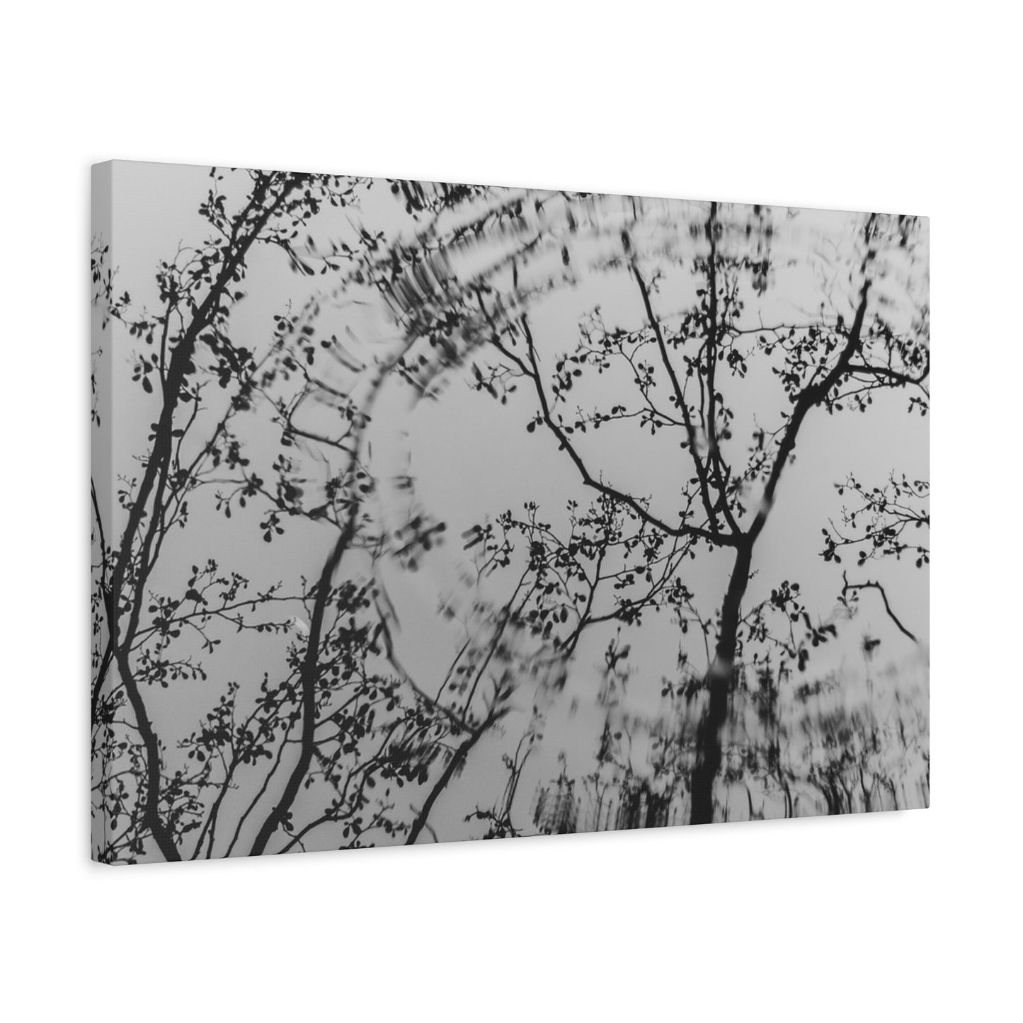 Canvas Wall Art — Monochrome Blurred Ferris Wheel with Tree Silhouettes
