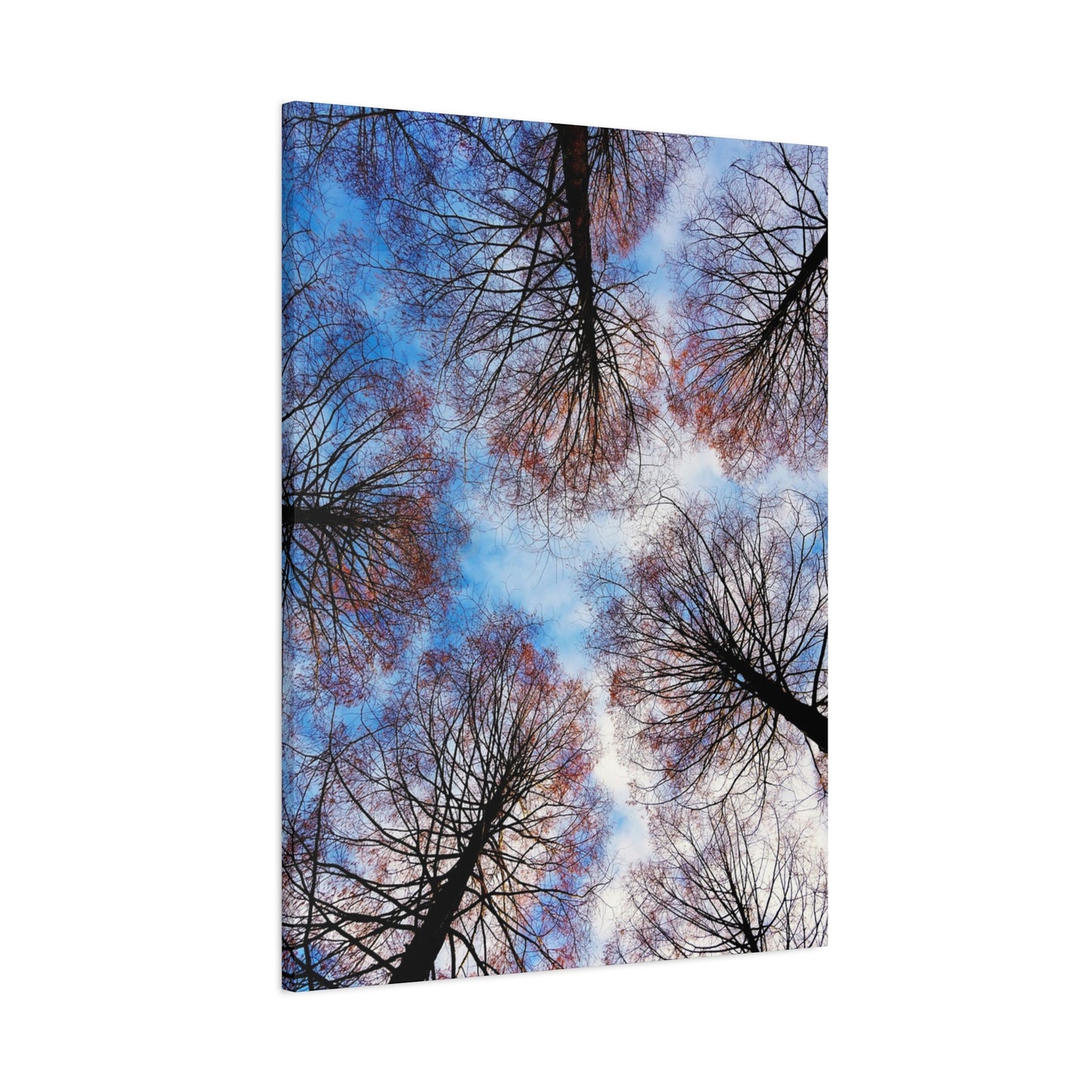 Winter Tree Canopy Matte Canvas Wall Art — Stretched 1.25"